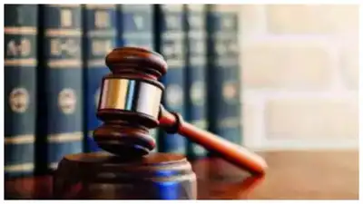 Migrant Wrongfully Deported to Mexico Returned After Court Order